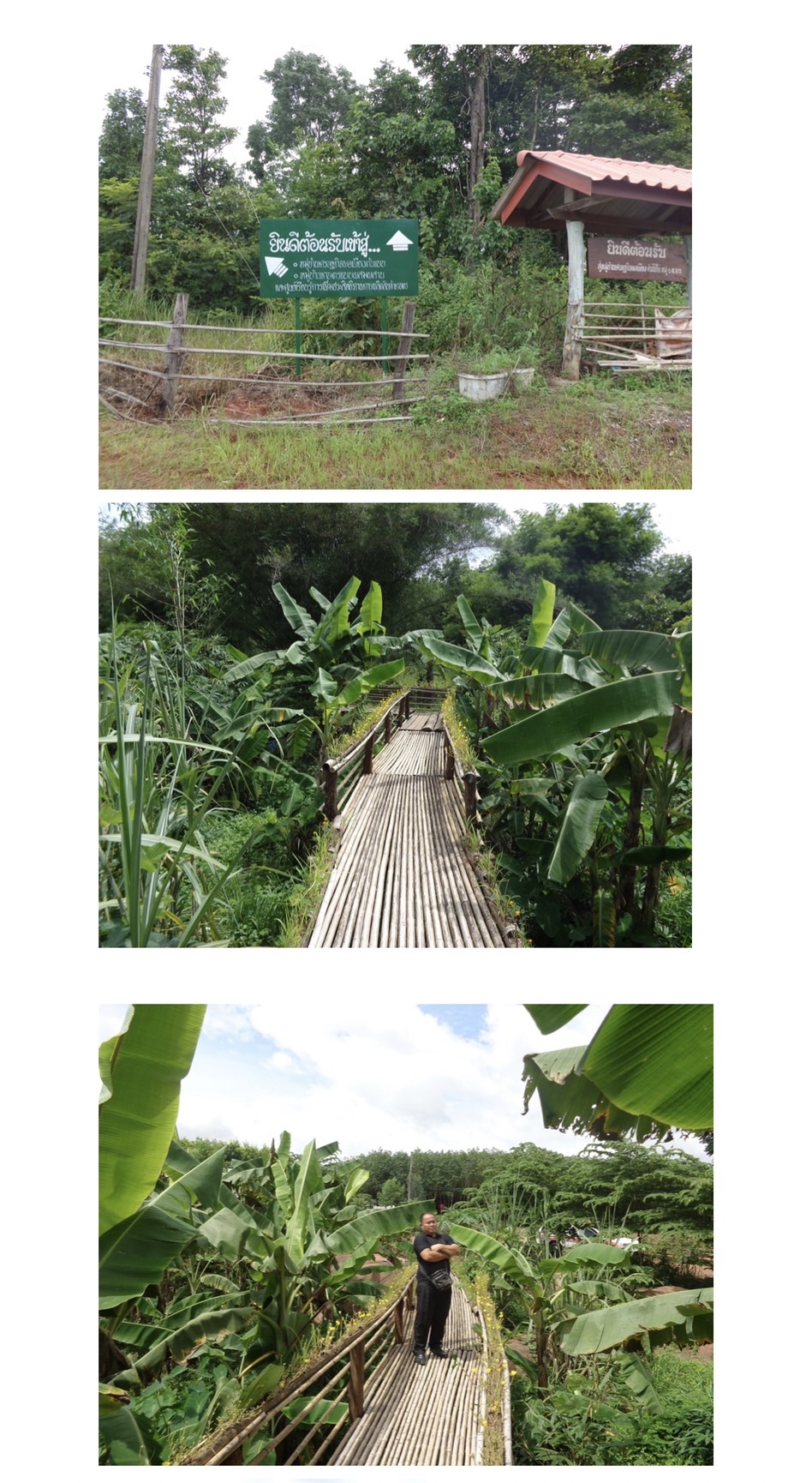 สถานที่ท่องเที่ยวด่านม่วงมาย